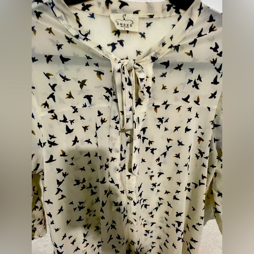 Beautiful Sheer blouse